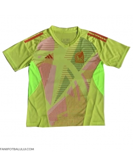 Mexic Portarii Tricou Fotbal Replică Copa America 2024 Barbati Acasa